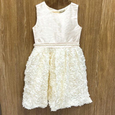 Φόρεμα με τριαντάφυλλα σαμπανιζέ